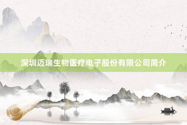 深圳迈瑞生物医疗电子股份有限公司简介