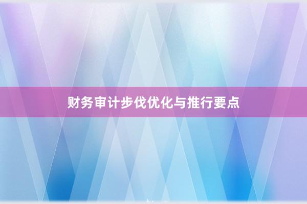 财务审计步伐优化与推行要点